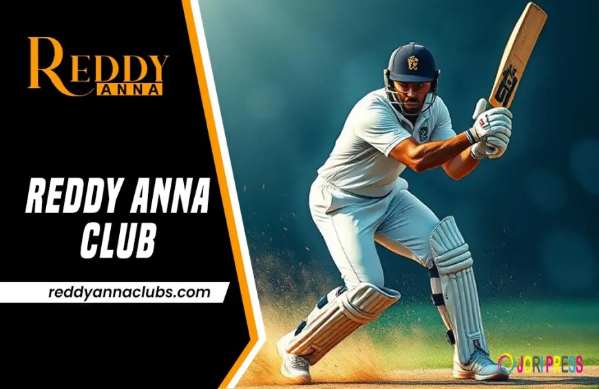 Reddy Anna Club WhatsApp Login: The Smarter Way to Play