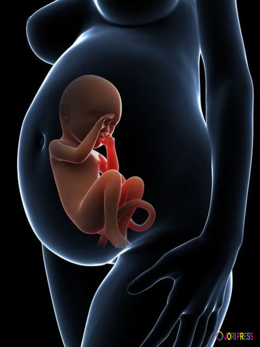 Infertility Specialist in Delhi – Complete Guide to Fertility Treatments