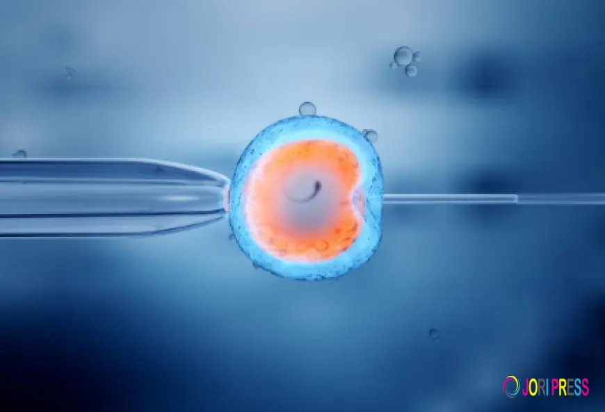 Nutrition Tips for Women Undergoing IVF Treatments