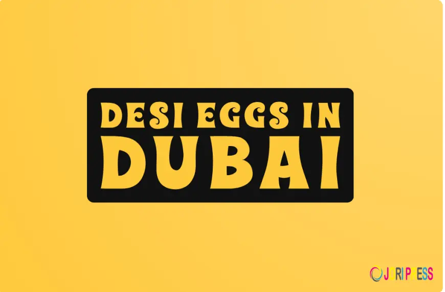 How Desi Eggs in Dubai Are Sourced for Maximum Freshness