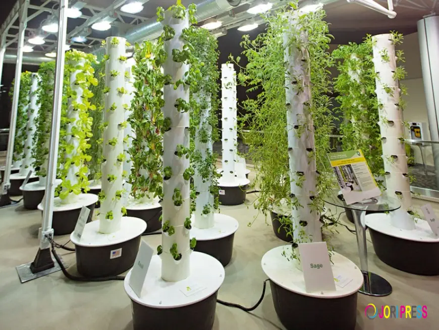 Tamaño, participación, crecimiento y pronóstico del mercado de agricultura vertical en México (2025-2033)