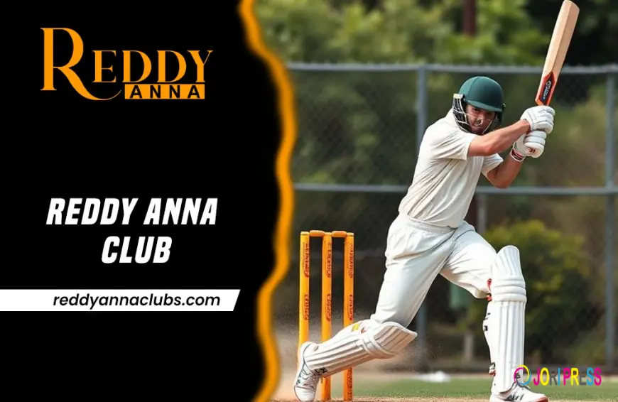 Reddy Anna Club Registration Process: Step-by-Step Tutorial