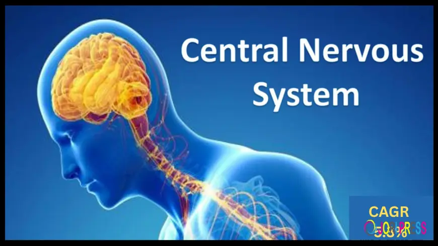 CNS Therapeutics Market Insights: Key Drivers & Restraints