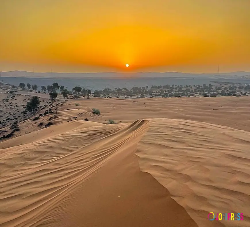 Morning & Evening Desert Safari Abu Dhabi – Complete Guide