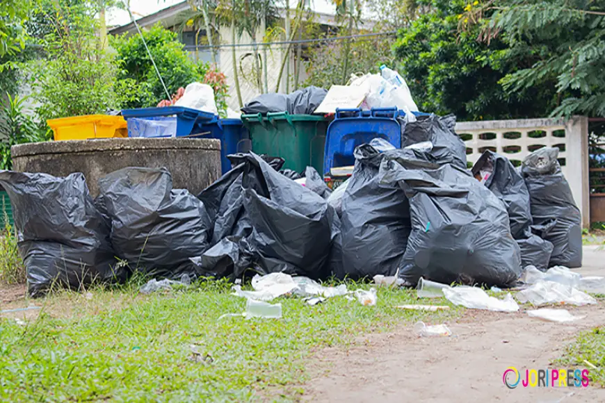 Timely and Efficient Junk Removal for All Types of Clutter