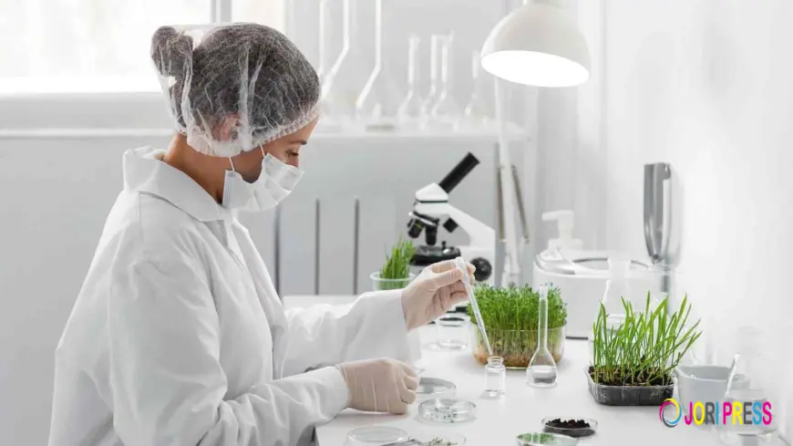 Sustainability in the Pharmaceutical Industry and Cold Chain Optimization