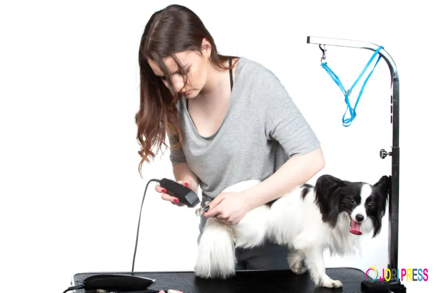 Chewbarka Grooming Offers Mobile Pet Grooming in Fort Worth