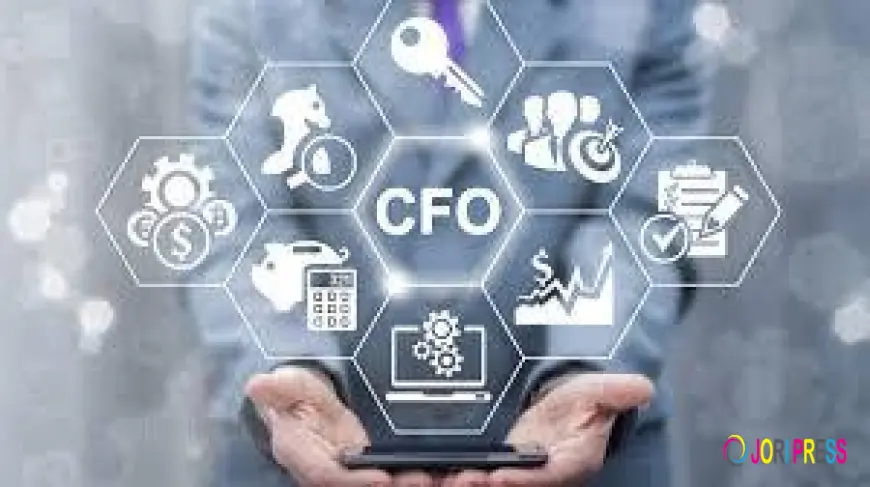 How Remote CFO Services Use Real-Time Data to Drive Growth Decisions
