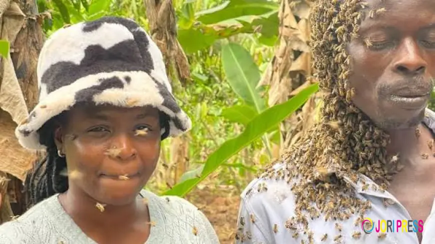 “I Regret My Actions” Kampala Doctor Who Stole Gov’t Medicine to Sell Attacked by Bees