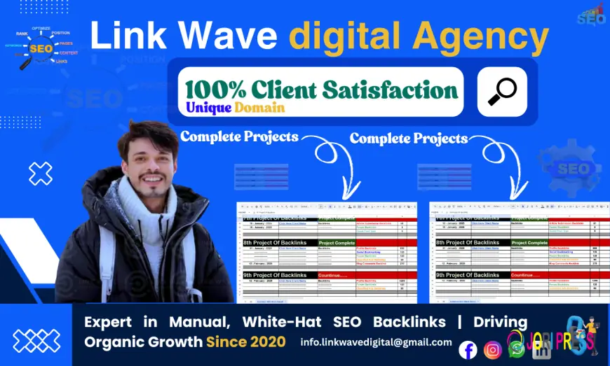 Backlink Link Wave Digital Agency