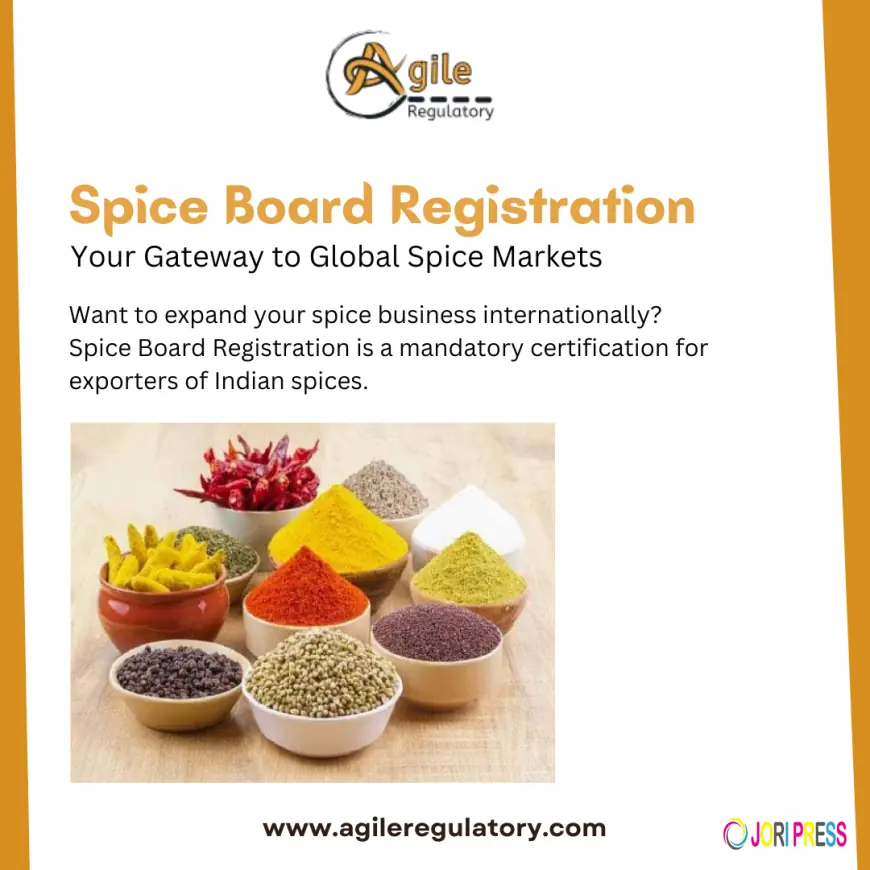 Navigating International Markets: A Strategic Guide for Spice Exporters to Go Global