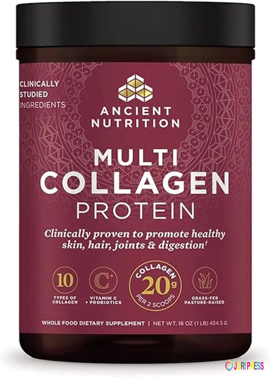 What is the role of Protein Powder in Muscle Building?
