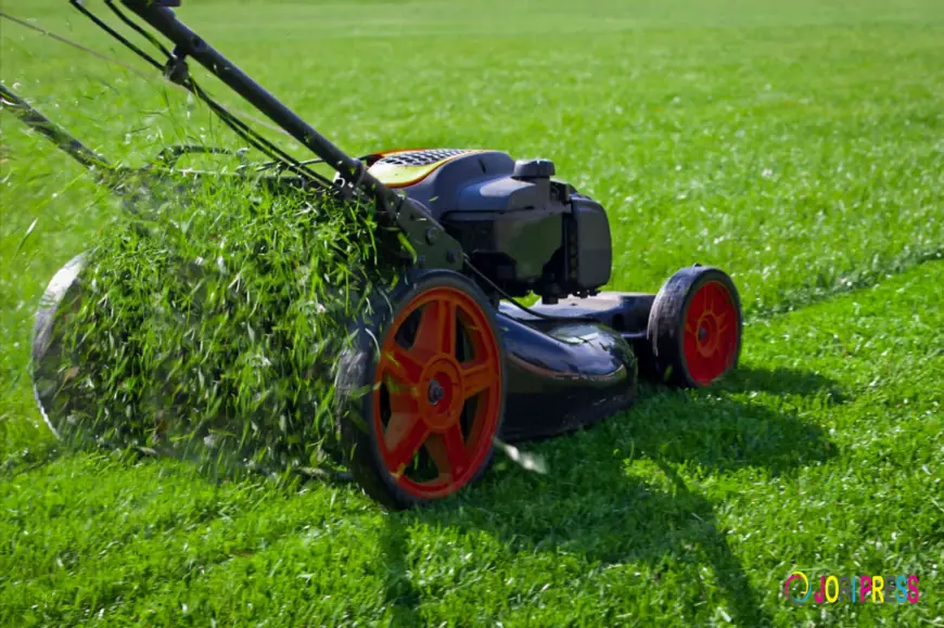 How Long Does a Professional Lawn Trimming Service Take?