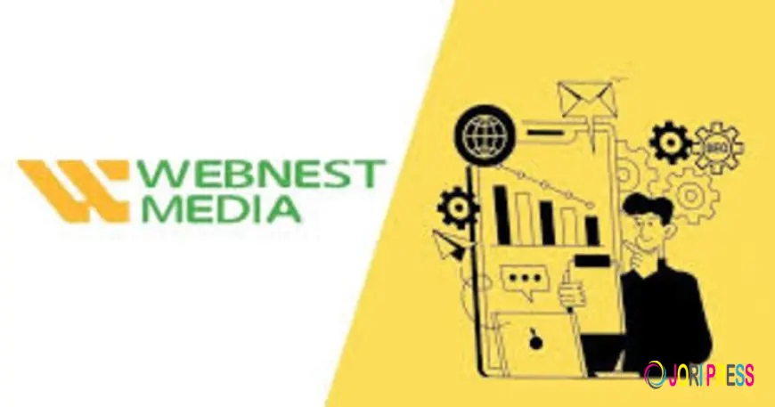 Online Reputation Management Service in India – Why Webnest Media is the Partner You Need