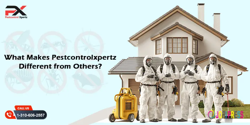PestXpertz Your Trusted Partner for Pest-Free Living