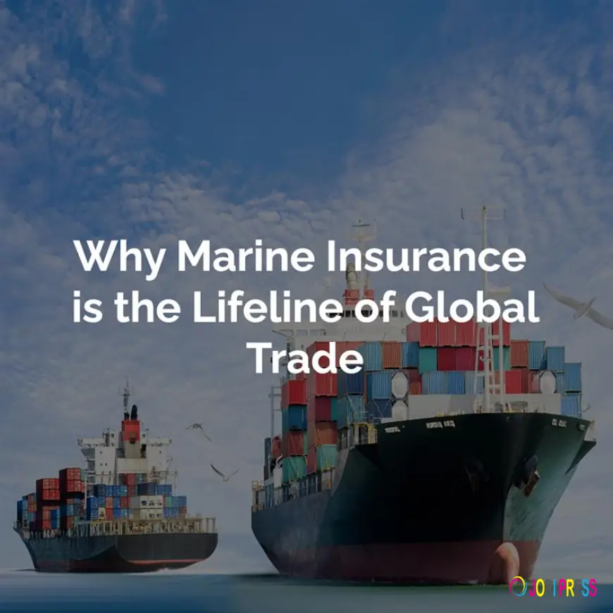 Reliable Singapore Air Shipping Company for Fast and Secure Global Deliveries