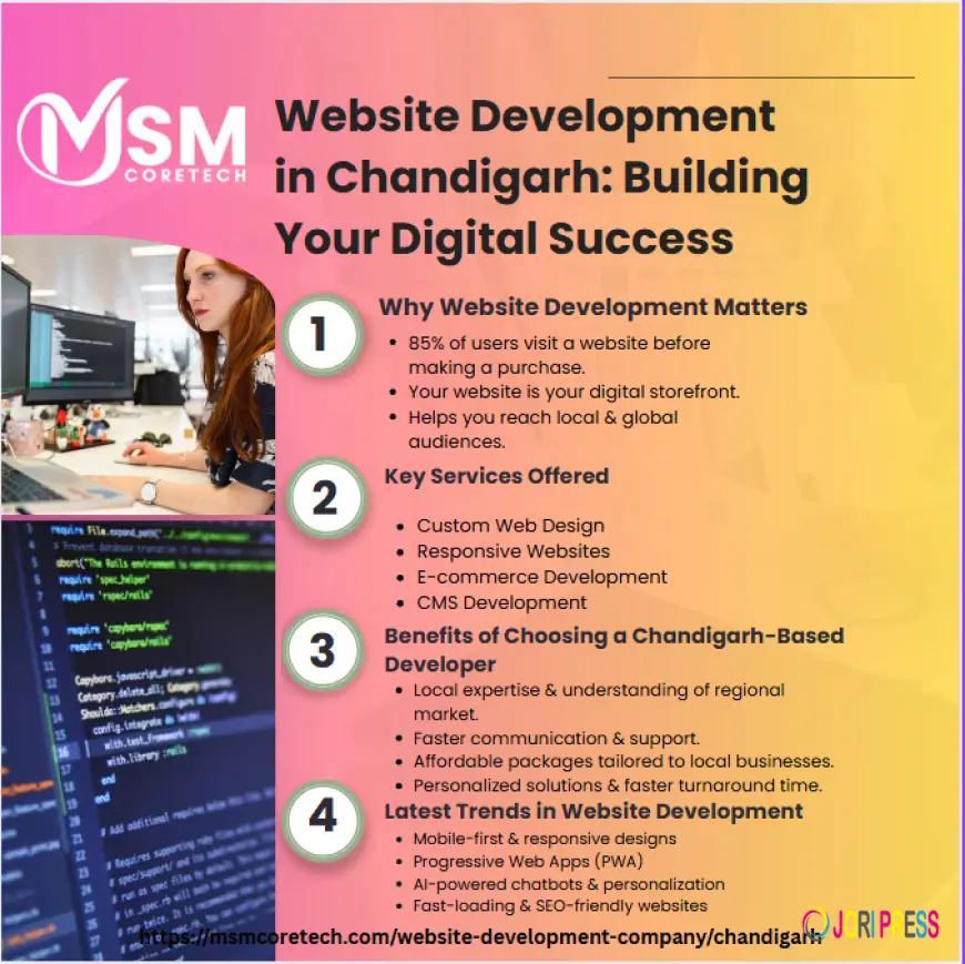 Professional Website Development Services in Chandigarh