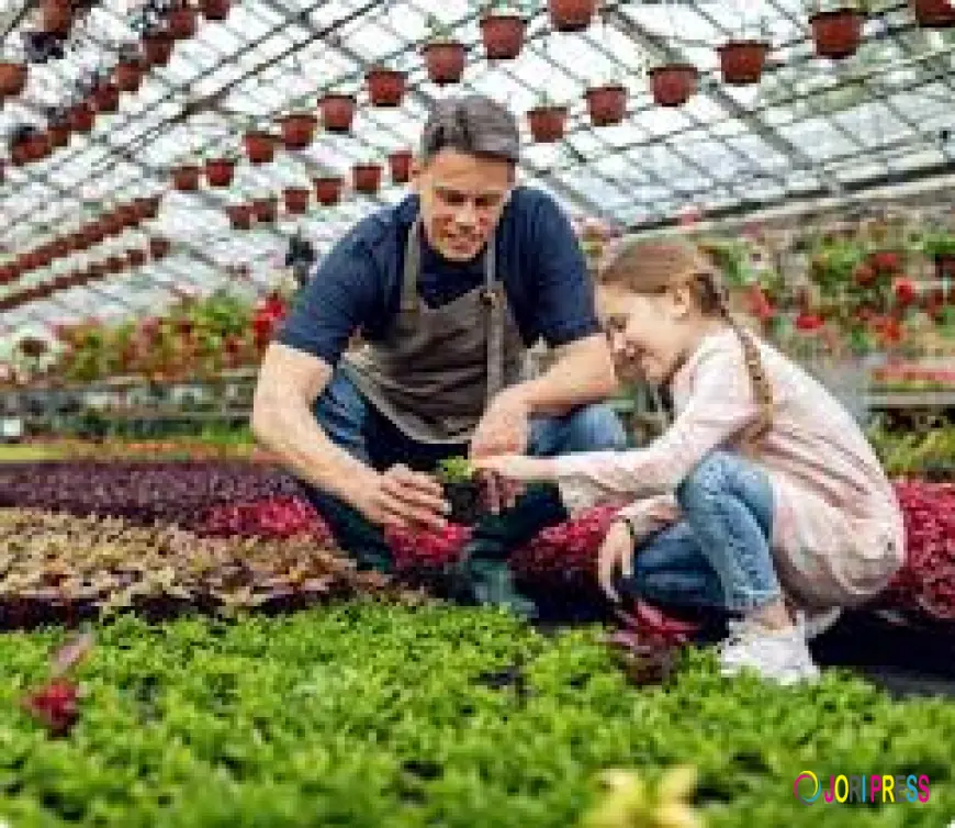 How Are the Best Nutraceutical Manufacturers in India Supporting Preventive Healthcare?