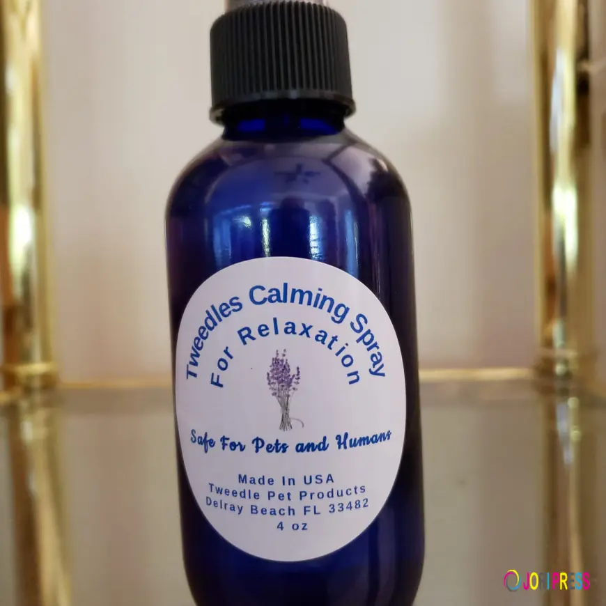 Show Affection and Support to Your Pets by Practicing Natural Goodness