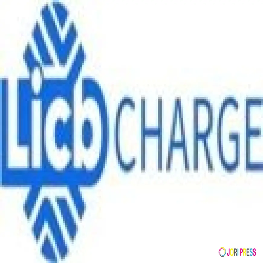 China LiCB AC DC EV Charger Co., Ltd