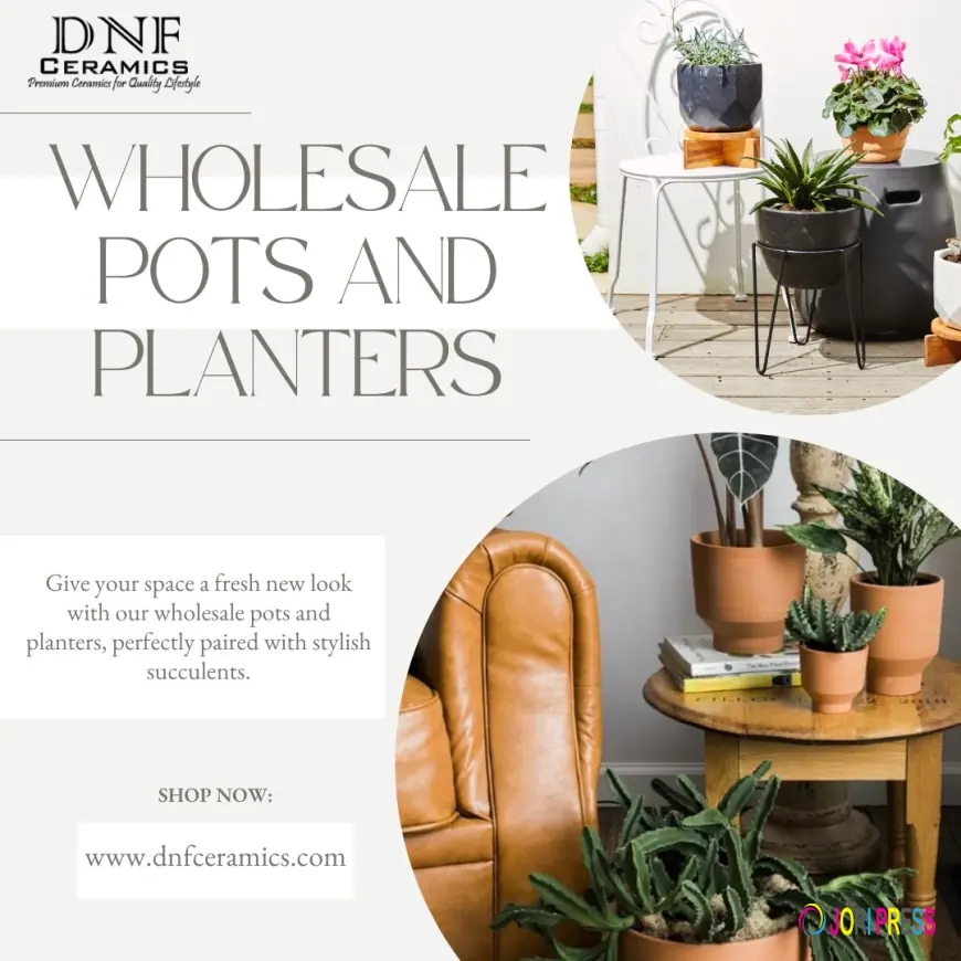 Ceramics and Resin Planters: A Journey Through Tradition and Modern Utility in Khurja