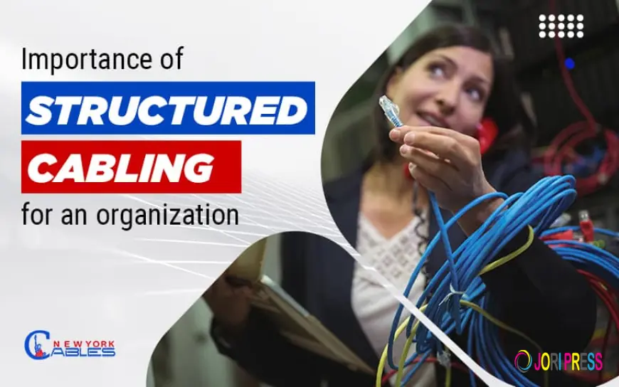 The Unsung Hero in Your Walls: How Structured Cabling Saves the Smart Home Dream