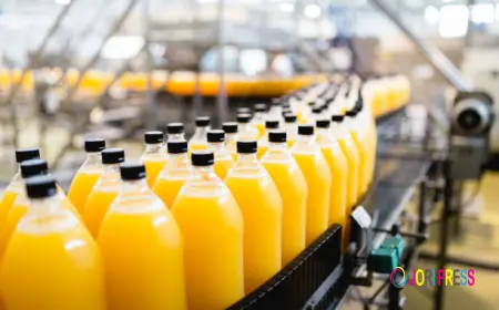 The Future of the Beverage Packaging Market: Innovation, Sustainability & Growth Trends