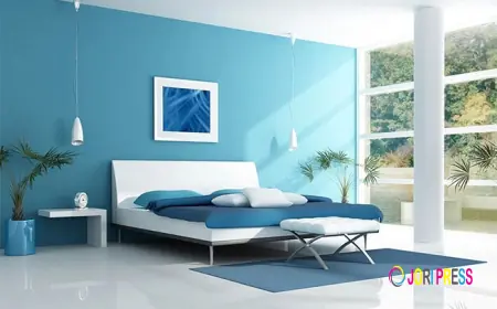 Transform Your Home with the Right Wall Paint