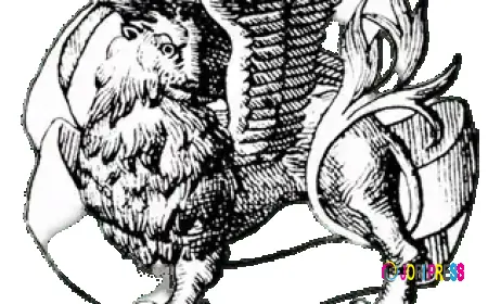 Raspberry Hills: Where Streetwear Meets Modern Art