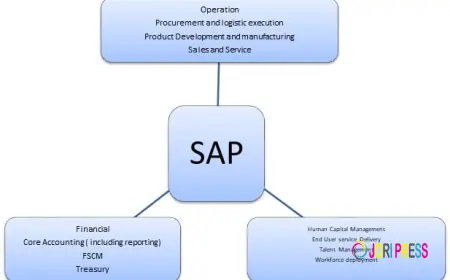 How SAP Bookkeeping Services Help Large Teams Stay Audit-Ready
