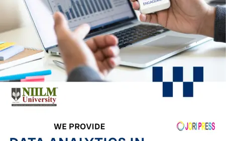 Data Analytics in Business Degree | BBA Data Science Program in Haryana