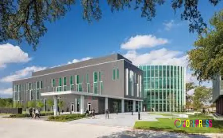 Improve Focus and Emotional Balance with Brain Training in Southlake and Flower Mound