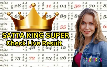 Delhi Bazar Satta King 2024: A Year of High-Stakes Draws and Digital Dens