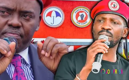 "I Was Persecuted, Embarrassed, Beaten & Imprisoned,  It Hurts Me That I Was Denied The NUP Card" MP Allan Ssewanyana Emotionally Tells