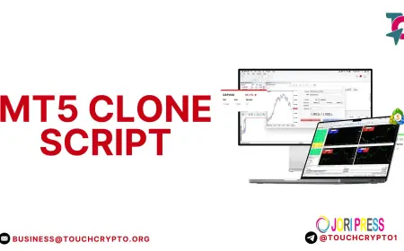 How MT5 Clone Script Helps You Build a Profitable Forex Trading Business