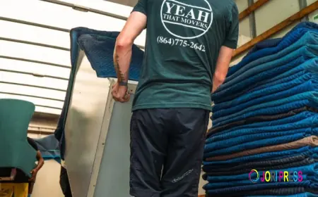 Yeah That Movers: Licensed, Insured, and Trusted Movers in Greenville SC
