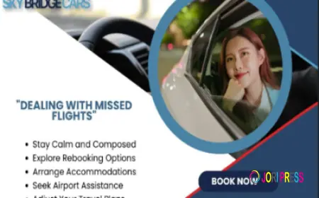 Skybridge Cars – Safe. Smart. Swift.