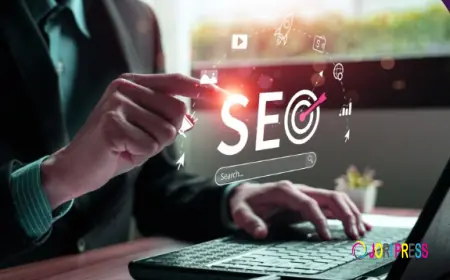 Search Engine Optimization Plan and Packages – Connect Infosoft