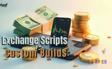 Exchange Scripts or Custom Builds: Which Option Benefits Entrepreneurs Most?