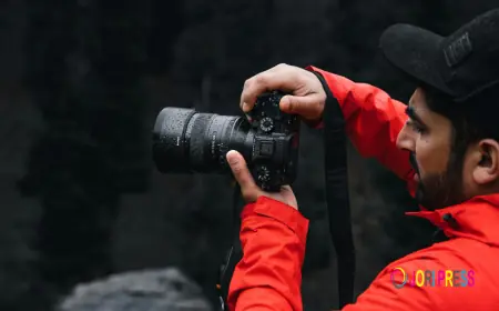 Polivy Photography Offers Expert Photography in Yorktown Heights, NY