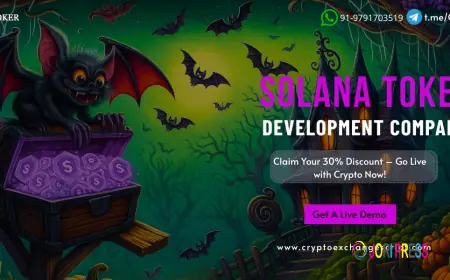 Spooktacular Solana Token Solutions: Accelerate Your Blockchain Innovation This Halloween