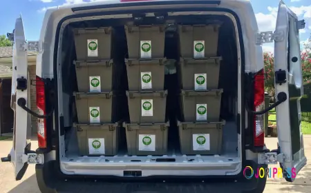 Why Not All Moving Boxes Prices Reflect the Same Quality