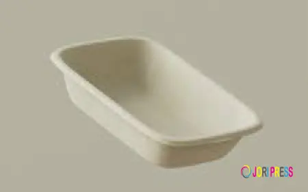 Sustainable Living Made Stylish: How Cane Fiber Trays Transform Homes and Everyday Life