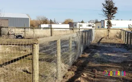 Reliable Fence Services in Madras and Surrounding Areas