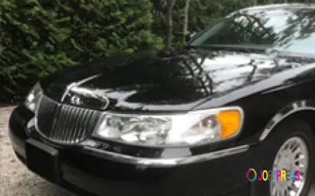 Make Your Every Occasion More Interesting And Unforgettable