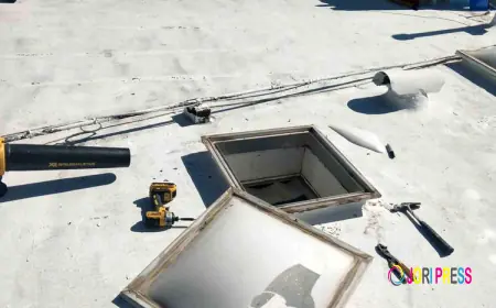 Top Roofers For Best Roof Maintenance Services in Dove Mountain and Beyond