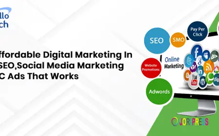 Best Affordable Digital Marketing in India: SEO, Social Media and PPC Ads