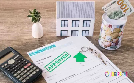 Quick & Flexible Financing Options Every Delhi Borrower Should Know