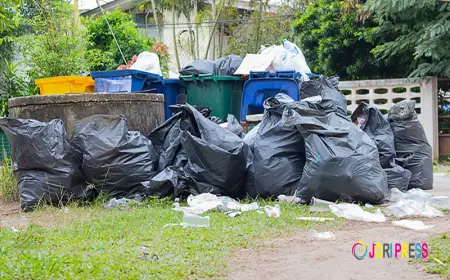 Affordable Way To Get Rid Of All Your Junk