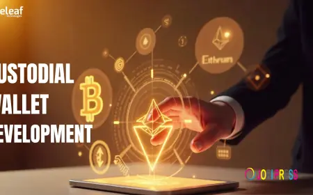 How Custodial Wallet Development Shapes Secure Crypto Adoption